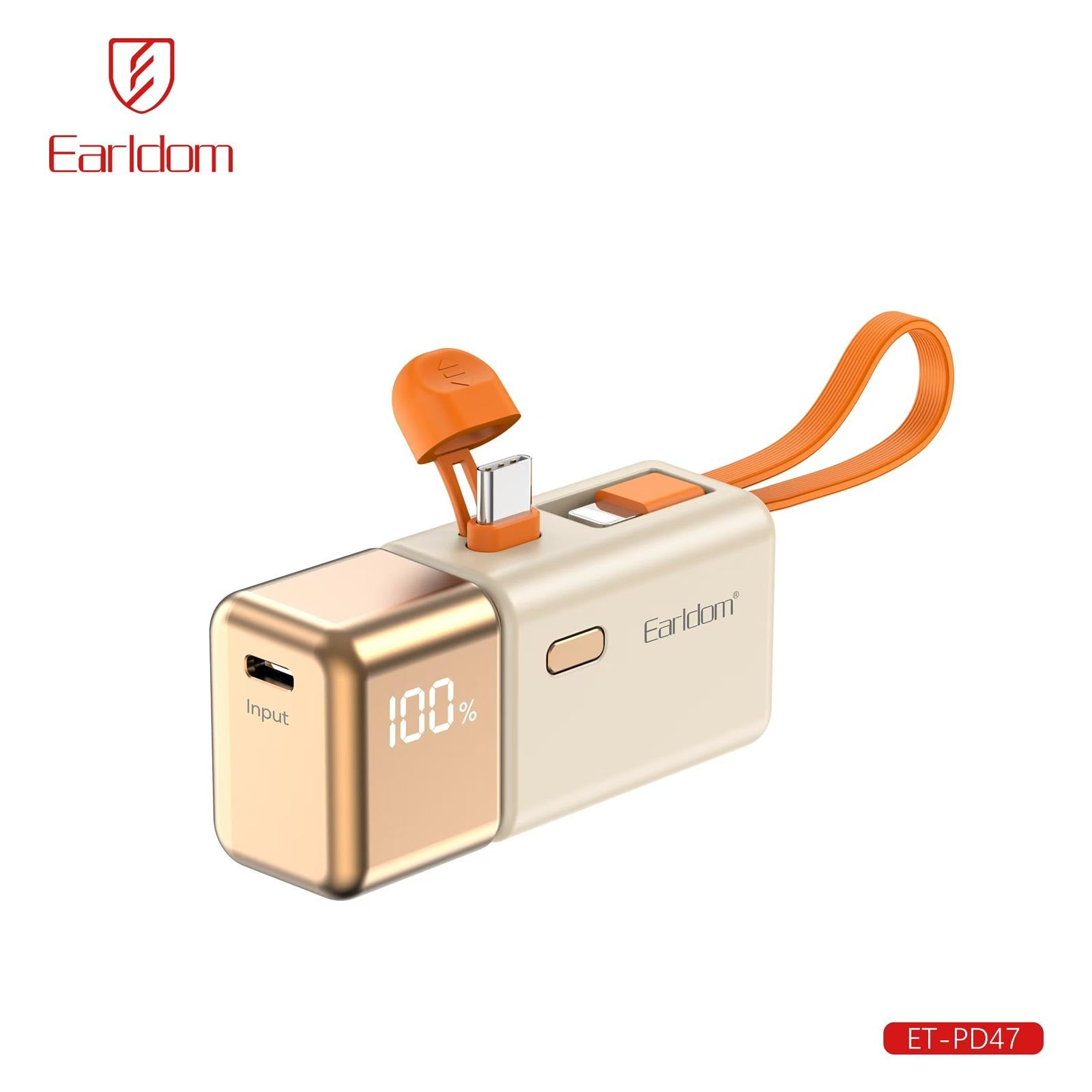 Power Bank Premium 2in1