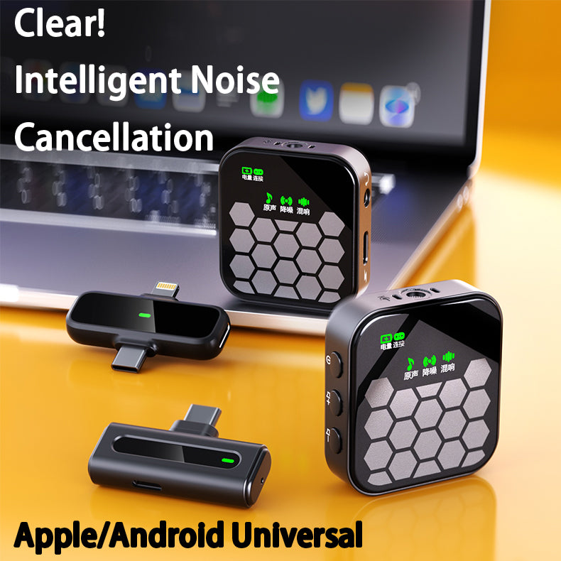 Mikrofon Valore 2in1