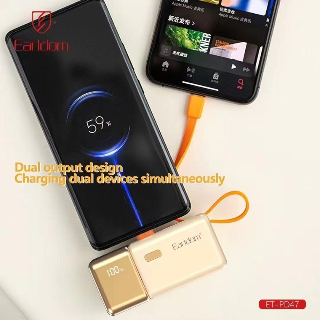 Power Bank Premium 2in1