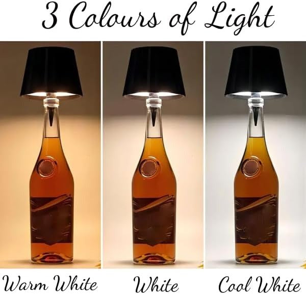 LED Bottle Lamp