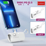 Power Bank-2in1 Earldom